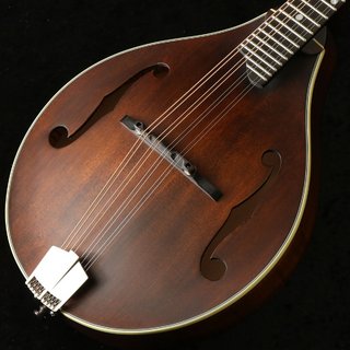 Eastman MD-305 AR【御茶ノ水本店】