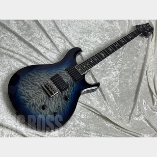 Paul Reed Smith(PRS) SE MARK HOLCOMB(Holcomb Blue Burst) #G063066