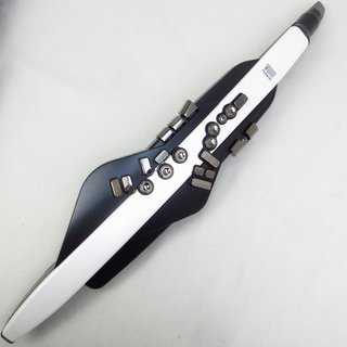 Roland AE-20 Aerophone エアロフォン 【横浜店】