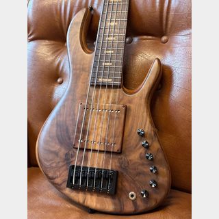 AST Basses and Guitars Vintage 6 String