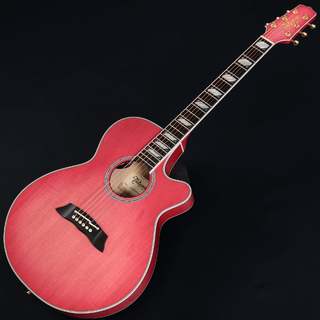 エレクトリック・アコースティックギター、Takamineの検索結果【楽器