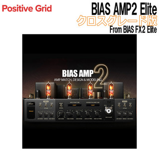 Positive GridBIAS AMP2 Elite クロスグレード版 From BIAS FX2 Elite [メール納品 代引き不可]