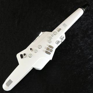 Roland AE-10 Aerophone エアロフォン 【御茶ノ水本店】