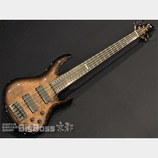 E-II BTL-5 / Black Natural Burst