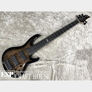 E-II BTL-5 / Black Natural Burst 