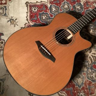 アコースティックギター／エレクトリック・アコースティックギター