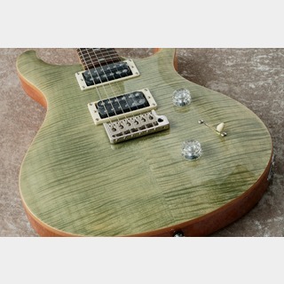 Paul Reed Smith(PRS) SE CUSTOM 24 ～Trampas Green～【48回無金利】