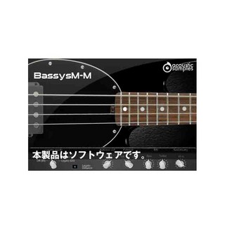 Acoustic Samples Bassysm-M(オンライン納品専用) ※代金引換はご利用頂けません。