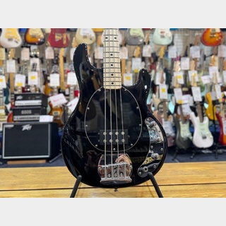 Sterling by MUSIC MAN S.U.B Series RAY4【イオンモール大和郡山店】