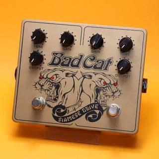 エフェクター（ギター・ベース用）、Bad Catの検索結果【楽器検索