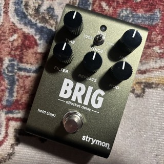 Strymon BRIGADIER ジャンク品 2025年最新】Strymon BRIGADIERの人気アイテム - メルカリ