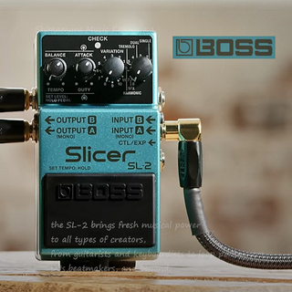 BOSS SL-2 Slicer