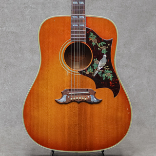 アコースティックギター、Gibson、Doveの検索結果【楽器検索デジマート】