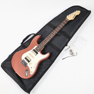 EDWARDS、E-SN-190MFの検索結果【楽器検索デジマート】