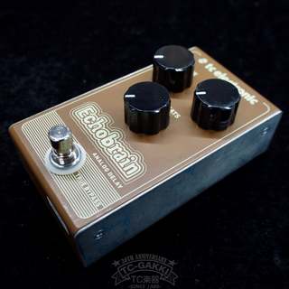 tc electronic Echobrain Analog Delay