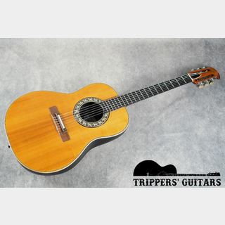 Ovation1624 Country Artist (1982)