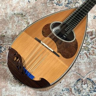 CALACE クラシコB トップセラック マンドリン