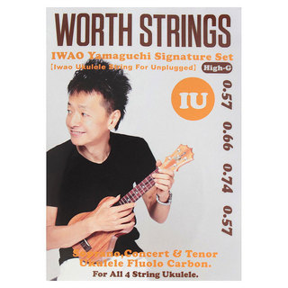 Worth StringsIU IWAO Unplugged High-G ウクレレ弦
