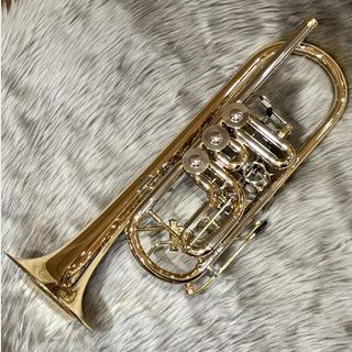 Schagerl Mod.Berlin Hev/3tri