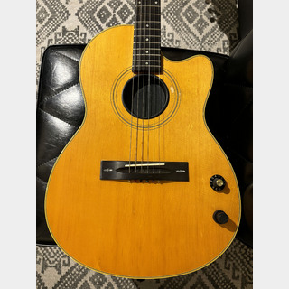 GibsonChet Atkins SST