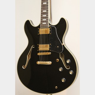 Sire Larry Carlton H7 / Black