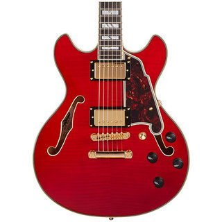 D'Angelico、Excel DCの検索結果【楽器検索デジマート】