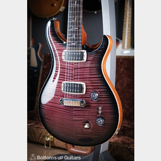 Paul Reed Smith(PRS){BUG} Private Stock PS #55XX Paul's Graphite Guitar - Northern Lights Smoked Burst -
