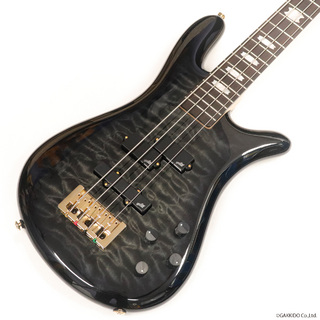 ベース、Spector、NS-2の検索結果【楽器検索デジマート】