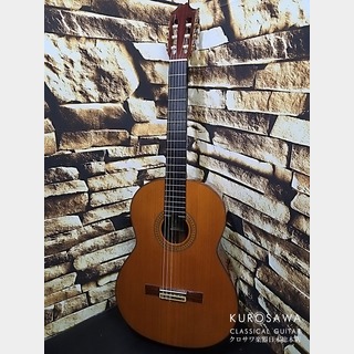 Juan Hernandezの検索結果【楽器検索デジマート】