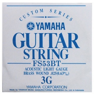 YAMAHA FS53BT アコースティックギター弦