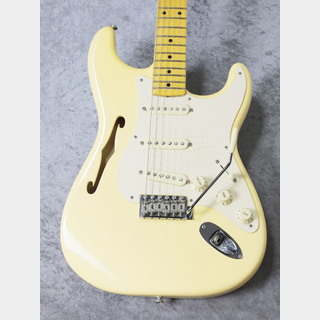 エレクトリックギター、Fender、eric johnsonの検索結果【楽器検索