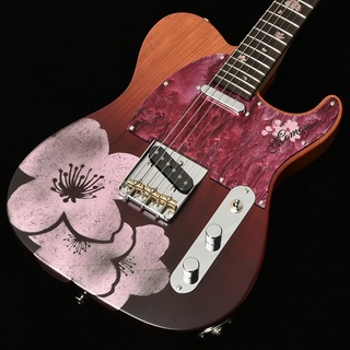 momose MT-SAKURA WSE’24/E 　Deviser One Day Guitar Show 2024限定モデル 近日入荷予定！予約受付中！