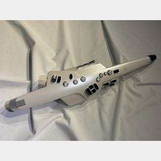 Roland Aerophone AE-10 Digital Wind Instrument