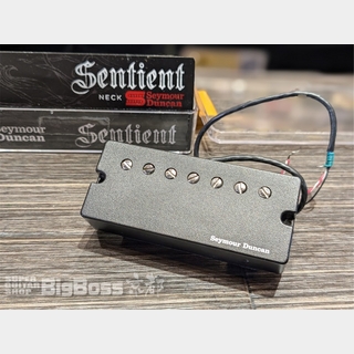 Seymour Duncan SENTIENT-7 Active Mount