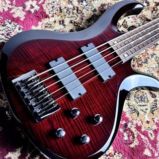 スルーネック 5弦の検索結果【楽器検索デジマート】