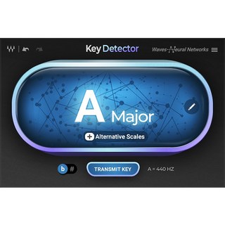 WAVES 【WAVES Buy 2 Plugins Get 2 Free！】Key Detector(オンライン納品)(代引不可)