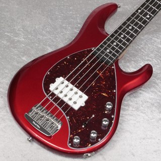 MUSIC MAN StingRay Special 5string Candyman / Ebony【新宿店】