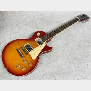 Maestro by Gibson Les Paul Standard