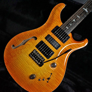 Paul Reed Smith(PRS) Private Stock #10031 SPECIAL SEMI-HOLLOW LIMITED EDITION 【2022年製】