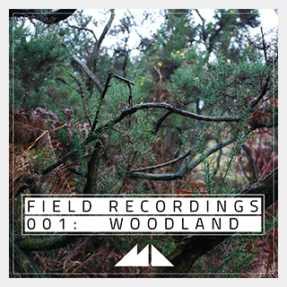 MODEAUDIOFIELD RECORDINGS 001 - WOODLAND