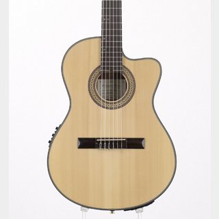 アコースティックギター／エレクトリック・アコースティック