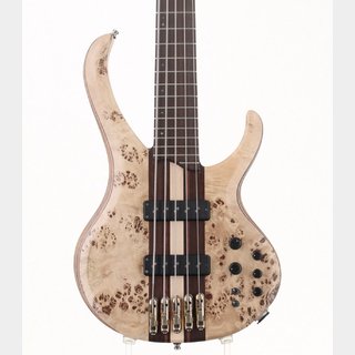 ProCeed ESP★極上のキルト★スルーネック★5弦オーダーメイド品★日本製 Guitar Shop Barchie's / ベース