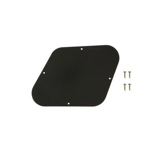 Gibson【PREMIUM OUTLET SALE】 Control Plate (Black) [PRCP-010]