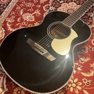 JamesJ-300A Black アコースティックギター oooタイプ