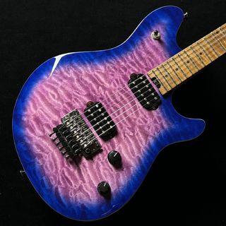 EVH、Wolfgang WG Standardの検索結果【楽器検索デジマート】