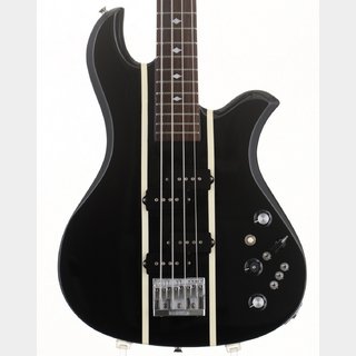 Burny EB-95X Heath Model【名古屋栄店】