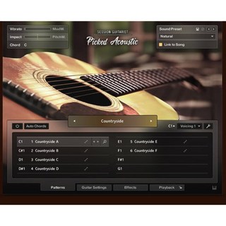 NATIVE INSTRUMENTSSession Guitarist - Picked Acoustic (オンライン納品)(代引不可)