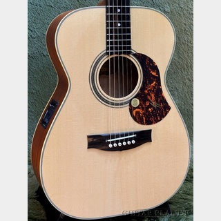 Maton EBG808TE Tommy Emmanuel Signature 税込販売価格