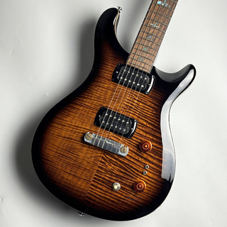 Paul Reed Smith(PRS)、SE Paul's Guitarの検索結果【楽器検索