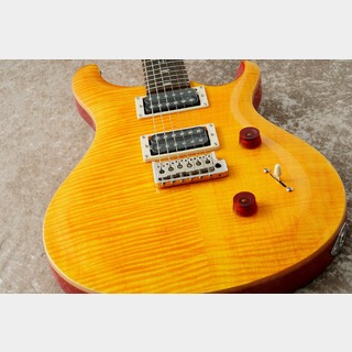 Paul Reed Smith(PRS) SE CUSTOM 24 ～Vintage Yellow～【48回無金利】